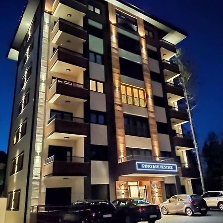 Vila Pino Silvestre Zlatibor Luaran gambar