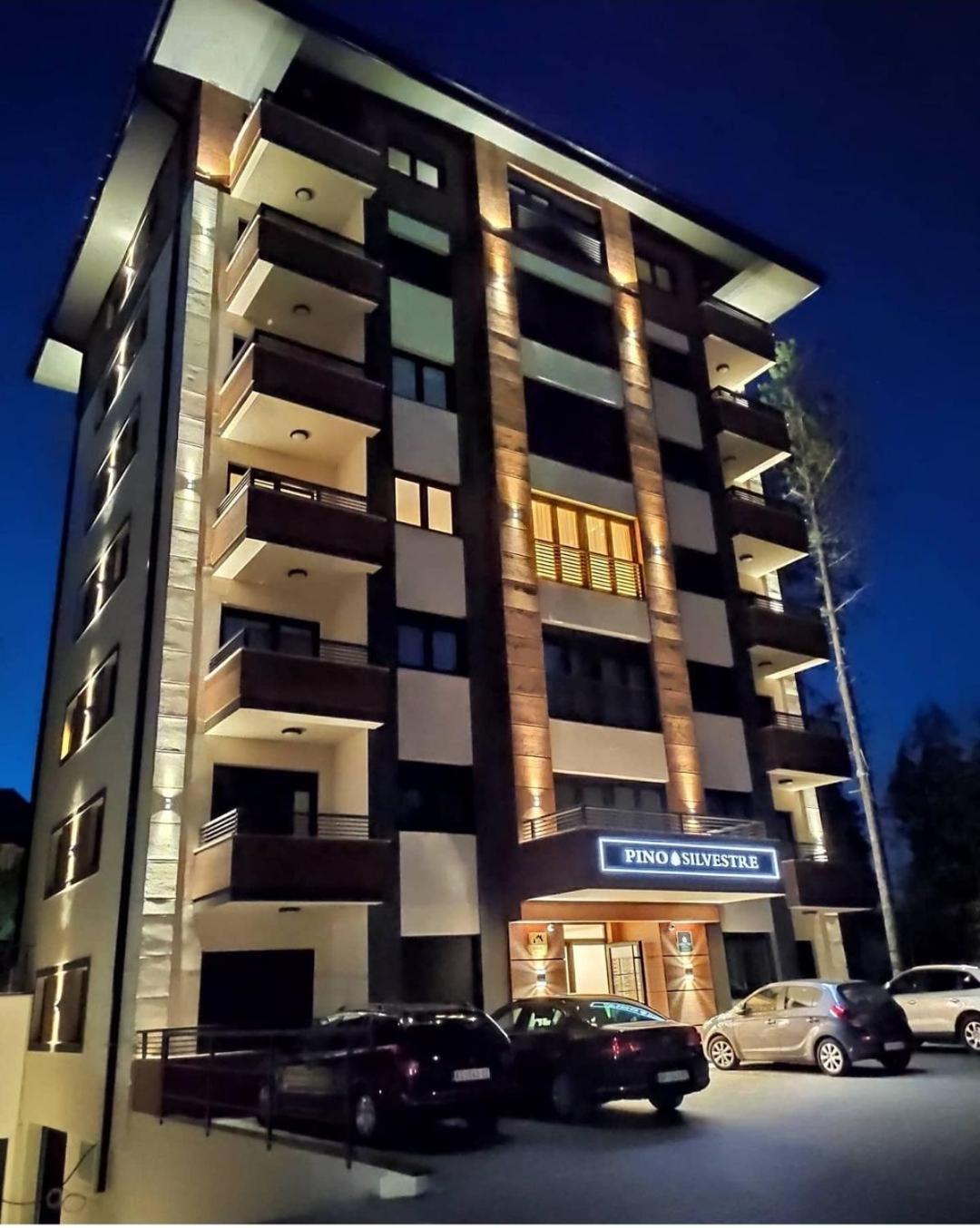Vila Pino Silvestre Zlatibor Luaran gambar